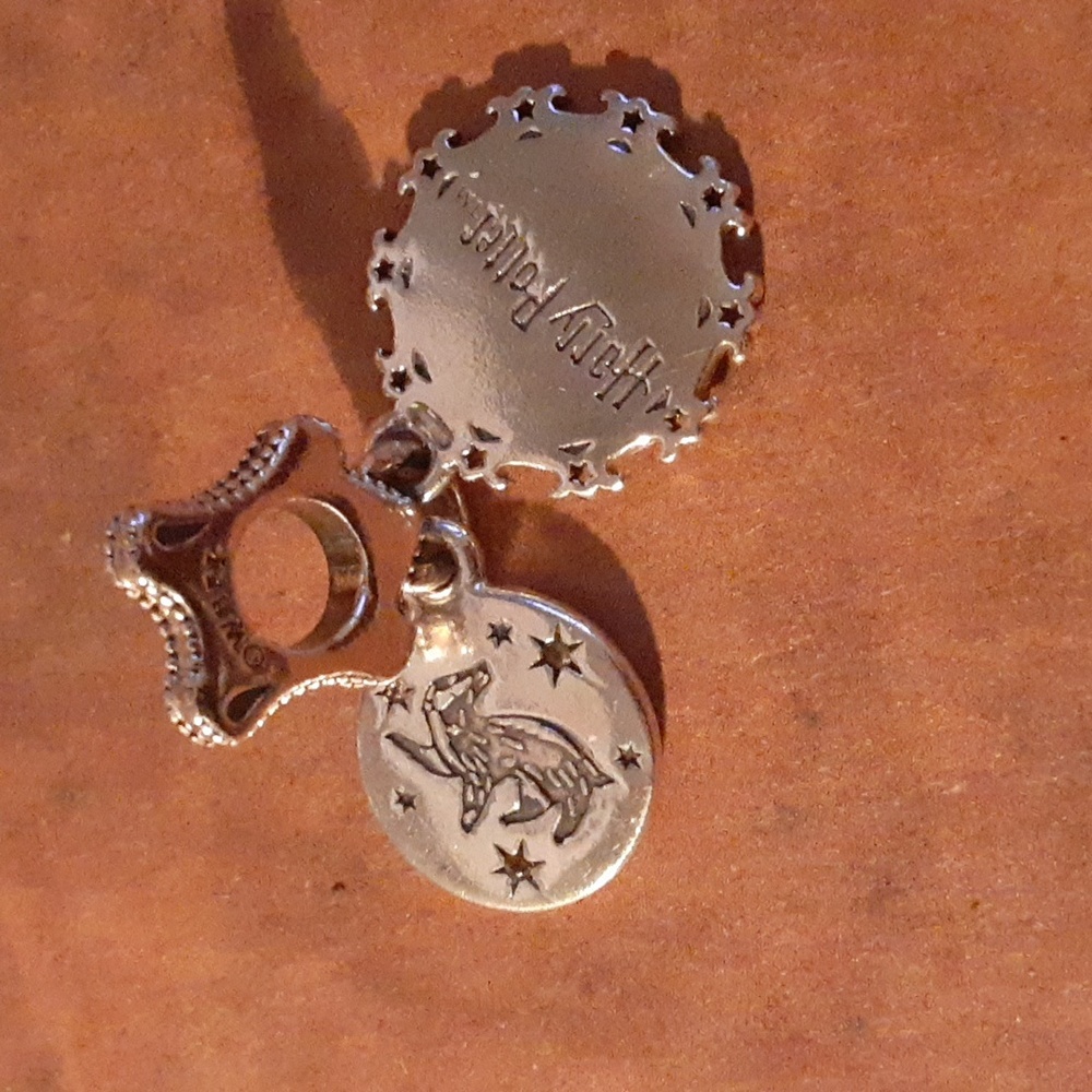 Pandora Harry Potter charm
